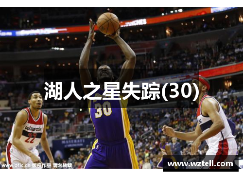 湖人之星失踪(30)